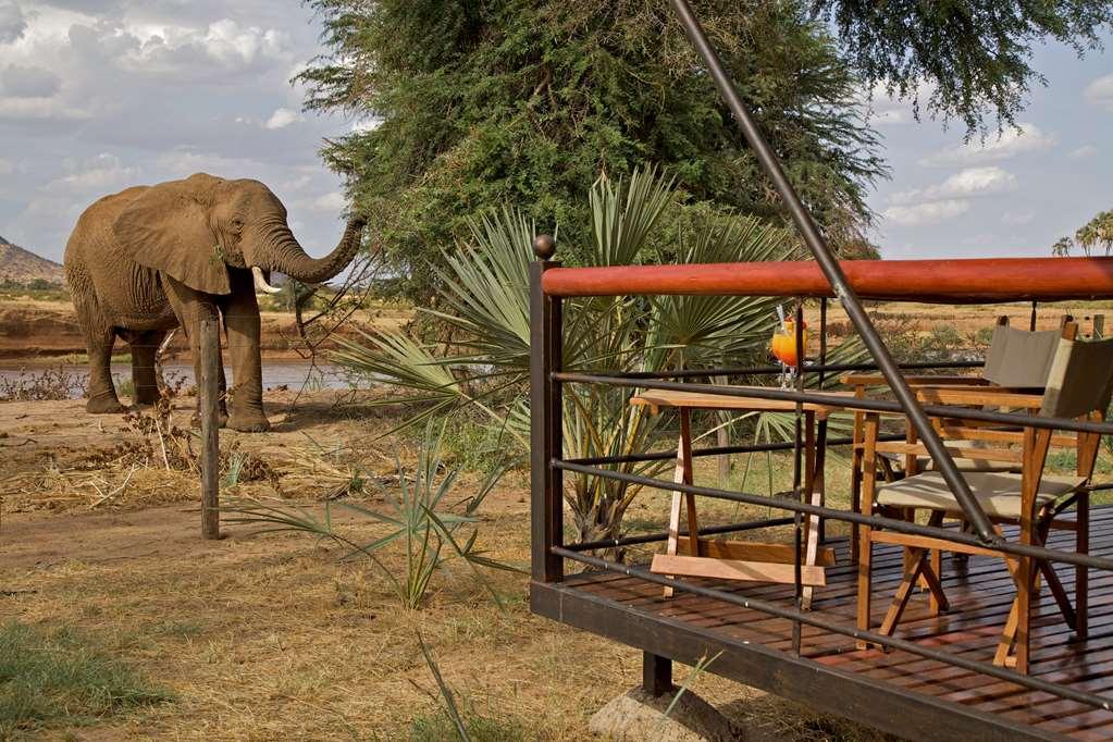 Отель Ashnil Samburu Camp Экстерьер фото