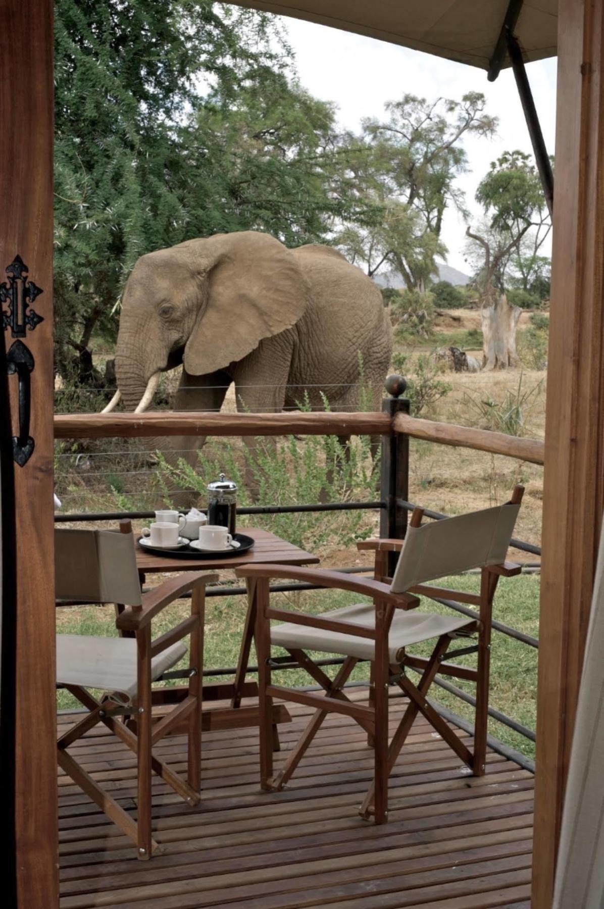 Отель Ashnil Samburu Camp Экстерьер фото